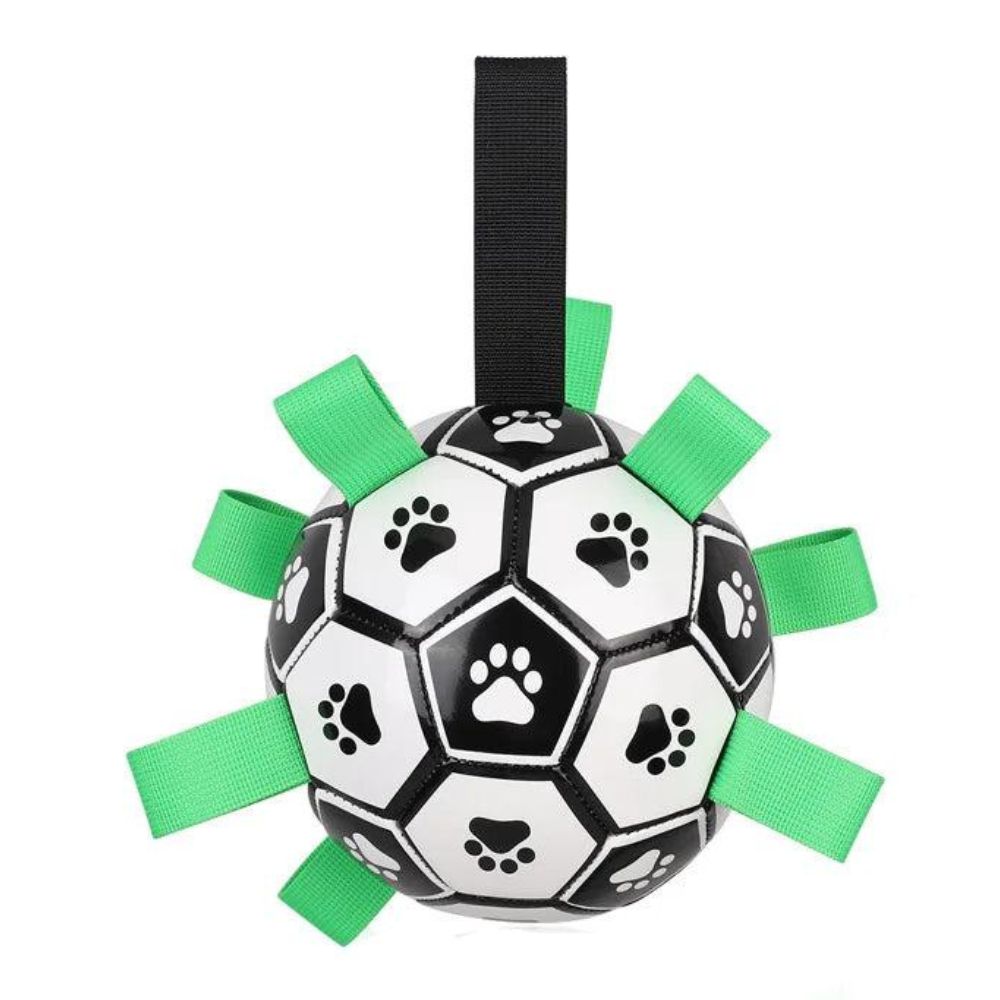 Soccer Ball Chew Training Toy